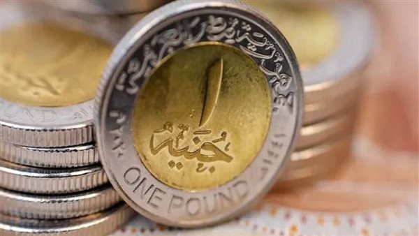 هل يهبط الجنيه؟.. مفاجأة بشأن أهداف مصر نظير الانضمام لمجموعة البريكس | فيديو