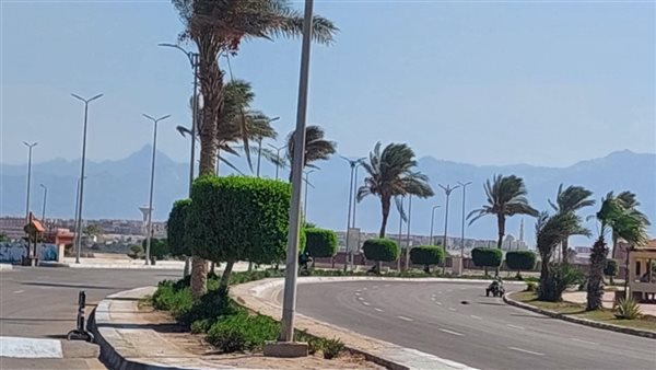 أمطار على هذه المناطق.. الأرصاد تحذر من حالة الطقس غدا الخميس 31-10-2024