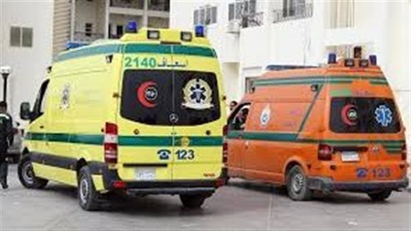 السبب صادم.. أربعيني يشرع في إنهاء حياة زوجته ونجليه بفأس في سوهاج