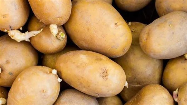 قد تؤدي للوفاة.. تحذير خطير من تناول هذا النوع من البطاطس 
