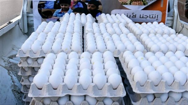 بلاغ لجهاز حماية المستهلك.. القصة الكاملة للجدل حول الفرق بين البيض المصري والتركي