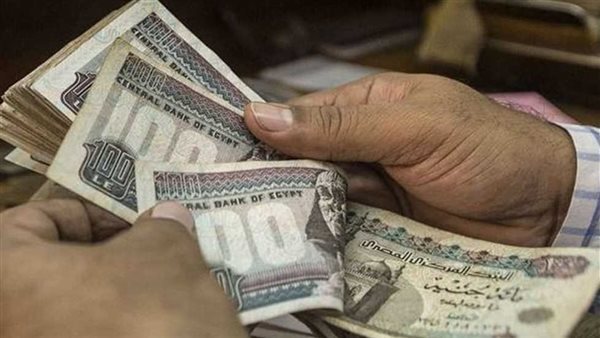 امتيازات خاصة.. موعد تطبيق قانون المعاش المبكر لمواليد الثمانينات