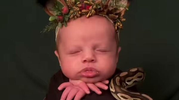 صور مخيفة.. جلسة تصوير لرضيع مع ثعبان تثير الذعر بالسوشيال ميديا | شاهد