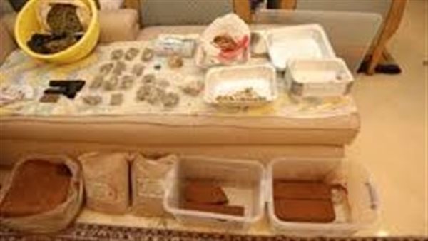 السر في خلطة الشيكولاتة.. ضبط مزرعة لمخدر الماجيك مشروم بالقاهرة 