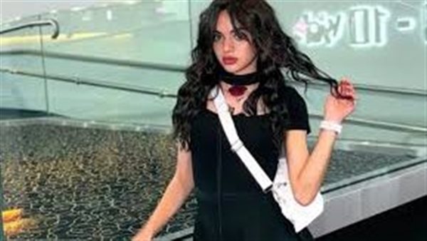 آه الشارع اللي وراه..تحرك قضائي جديد بعد تأييد حبس سوزي الأردنية سنتين