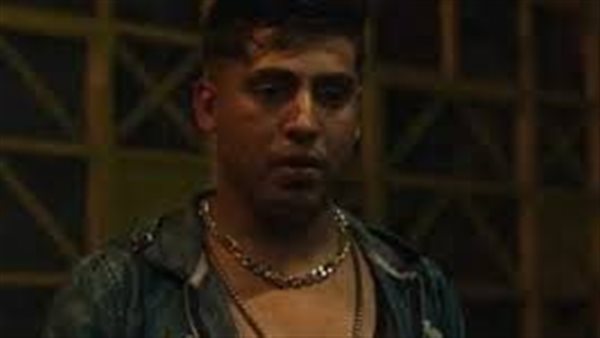 بسبب مياه النيل.. تفاصيل الحكم بحبس كروان مشاكل 