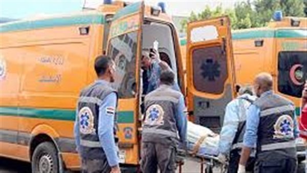 فتحوا النار على بعض.. قطعة أرض تُسقط 4 مصابين في قنا