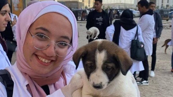كلية الطب البيطري بالجامعة المصرية الصينية تطلق حملة لإنقاذ حيوانات الشوارع (صور)