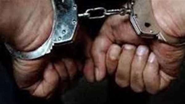  بائع أسماك في السويس يثير الجدل بجمع الكلاب الضالة ووضعها في أجولة