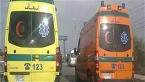 ماتوا حاضنين بعض..تفاصيل مأساوية في مصرع أم وطفليها بحريق شقة سكنية بالمنيل 