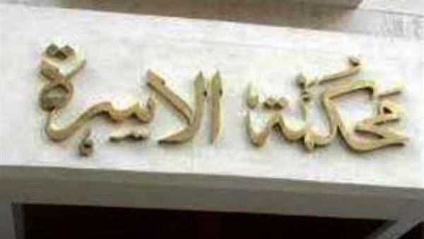 منعته من رؤية أطفاله.. صرخة زوج أمام محكمة الأسرة 