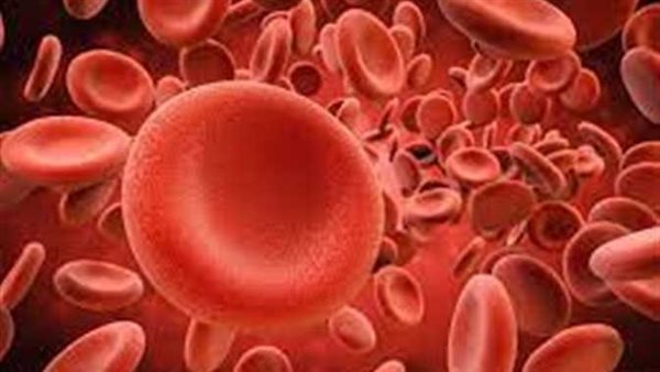 «هيئة الدواء» تكشف روشتة لعلاج فقر الدم.. وهذا النوع الأكثر شيوعًا