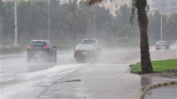 تحذير جديد من الأرصاد.. حالة الطقس غدا الجمعة 31-1-2025