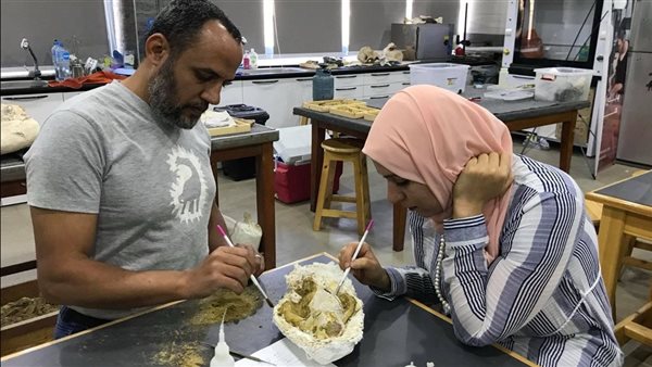 أستاذ حفريات بالجامعة الأمريكية يكتشف جمجمة لآكل لحوم مفترس استوطن مصر قبل 30 مليون سنة