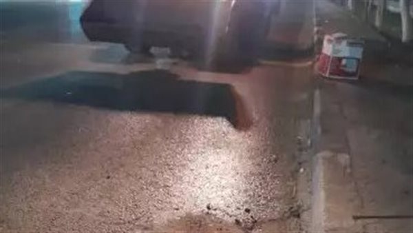 مظهره مُرعب.. حيوان نافق يثير الجدل في بورسعيد | شاهد