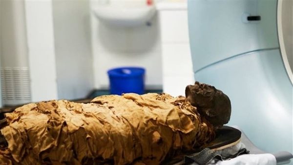 ماذا وجدوا؟.. علماء يكتشفون لغز المومياء الحامل بعد سنوات من الغموض