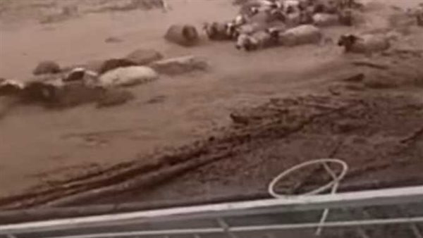 فيديو السيول الجارفة.. هل هو «انتقام إلهي» بسبب قرار ملك المغرب بإلغاء ذبح الأضاحي؟ | شاهد