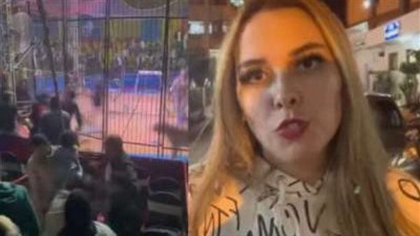 لقطات صادمة لهجوم نمر على عامل.. ماذا حدث في سيرك طنطا؟ | شاهد