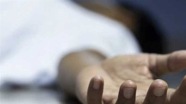 هربا من العقاب إلى الموت.. عدالة السماء تعاقب متحرش الطالبية ولص حدائق أكتوبر