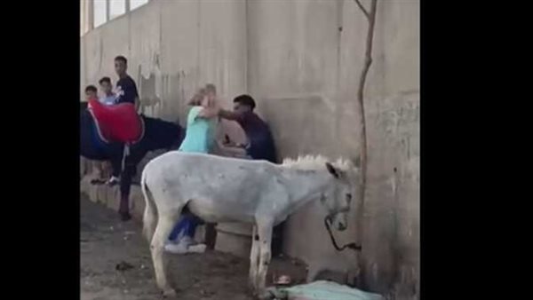 بسبب حمار.. القصة الكاملة لاشتباك سائحة بالأيدي مع شاب بمنطقة أبو الهول | فيديو