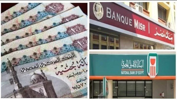  شهادات ادخار بأرباح تصل إلى 30%... كيف تحمي أموالك من التآكل؟ 