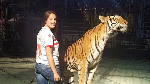  مدرب مساعد من 5 سنين.. أنوسة كوتة تكشف مفاجآت جديدة في واقعة التهام نمر يد عامل سيرك طنطا 