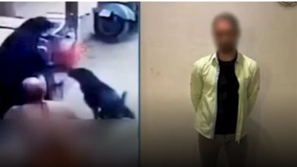 سيب عليها كلب شرس.. مفاجآت مثيرة في فيديو سيدة الغربية الصادم | شاهد