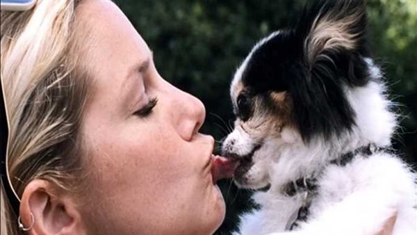  أمين الفتوى يحسم الجدل..هل وجود الكلب في البيت يمنع دخول الملائكة؟ | فيديو