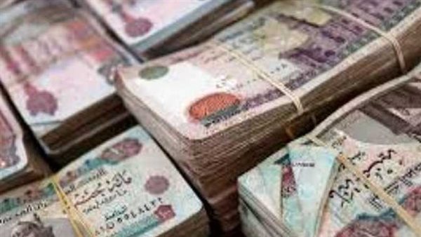 تعرف على سبب عدم تطبيق الحد الأدنى للأجور في بعض الشركات