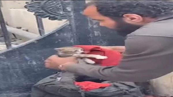 أنا المهدي المنتظر.. تفاصيل القبض على شخص يقيد القطط داخل حقيبة بالجيزة