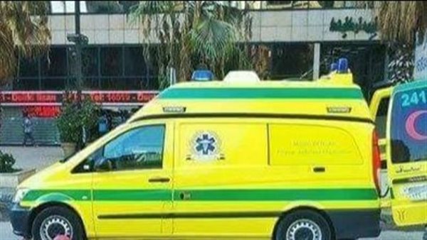 خلافات مالية.. تفاصيل صادمة في تشويه عامل لوجه زوجته بمادة حارقة بحلوان 