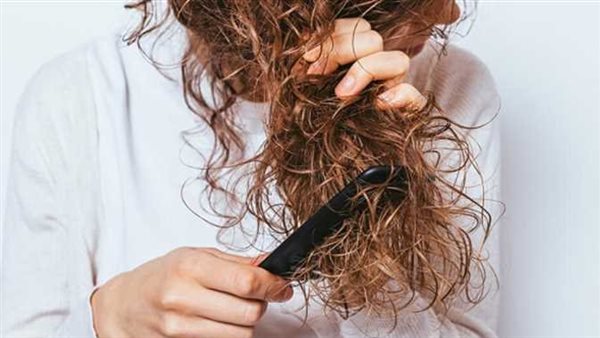 منها السبانخ والبيض.. 7 أطعمة تقوي الشعر والأظافر وتحميهما من التكسر 