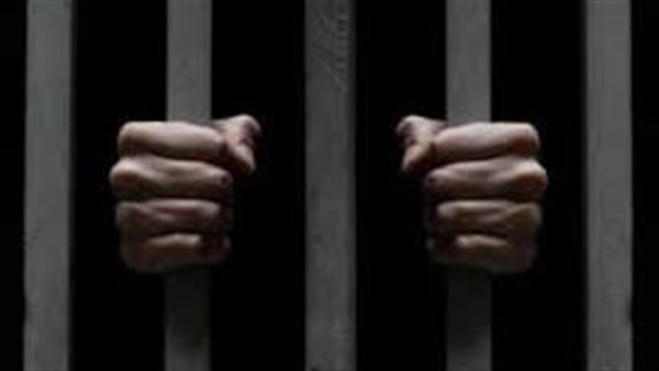 جريمة في شقة ميكانيكي بالإسكندرية..القصة الكاملة لهتك عرض شاب تحت تهديد الكلاب