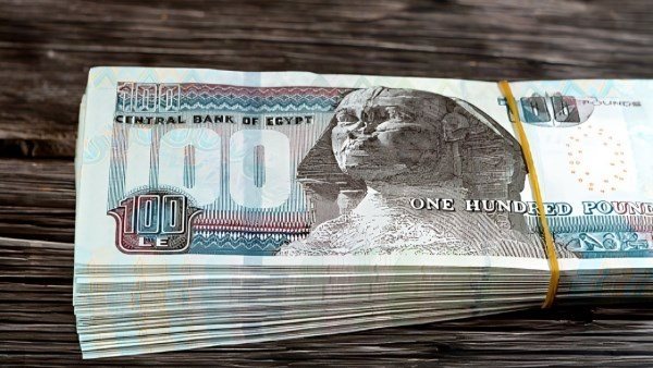 بشرى سارة.. 700 جنيه زيادة شهرية لجميع موظفي الدولة