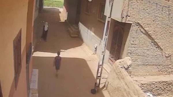 حقيقة فيديو محاولة فتاة لخطف طفل بالدقهلية