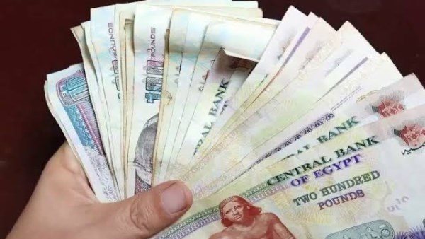  زيادة المعاشات بنسبة 15%.. التفاصيل الكاملة ومواعيد الصرف وخطوات الاستعلام 