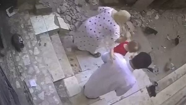 فيديو مثير للجدل.. حقيقة اعتداء سيدة على كلاب بأبو كبير