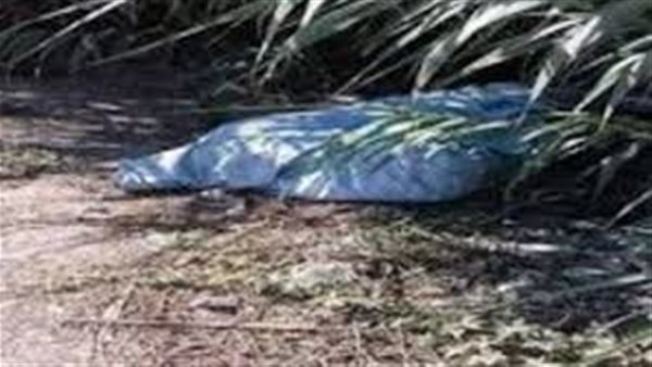 جثة وسط الزراعات.. تفاصيل مقتل سائق توك توك على يد ابن عمه في سوهاج