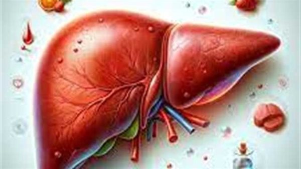 أفضل الأطعمة لدعم صحة الكبد..نظام غذائي صحي لمكافحة الكبد الدهني