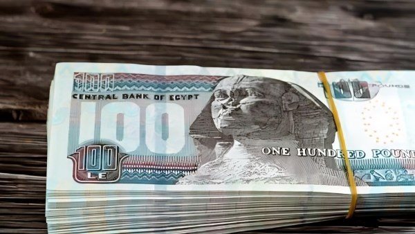  بموافقة رئاسية.. زيادة المرتبات 3000 جنيه لموظفي الحكومة بهذه الجهة 