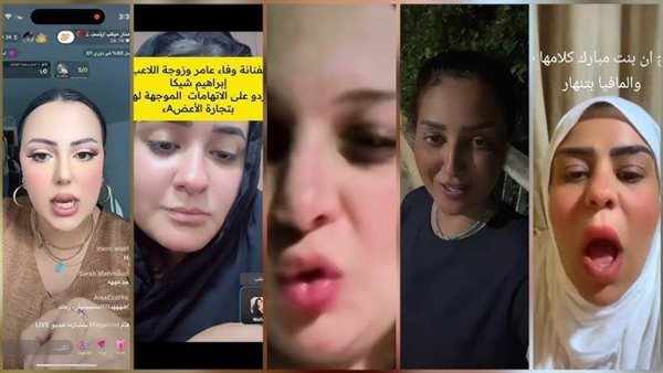  ادّعت لقب بنت الرئيس مبارك.. تفاصيل القبض على التيك توكر في اتهام وفاء عامر بتجارة الأعضاء 