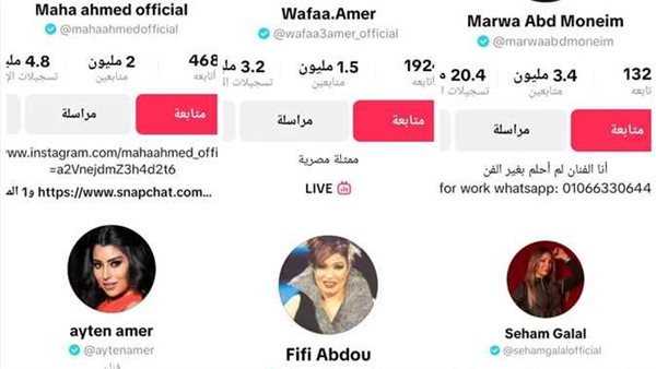 من التمثيل إلى البث المباشر.. أشهر فنانين على «تيك توك»