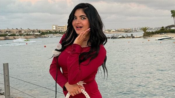 غسيل أموال وفيديوهات خادشة للحياء.. تطورات مثيرة في قضية سوزي الأردنية