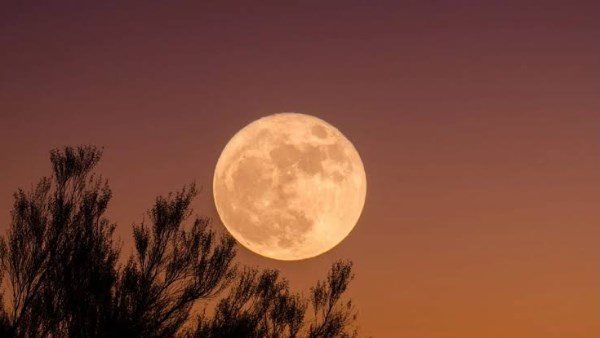  بعد قمر سمك الحفش.. سماء السعودية على موعد مع ظاهرة فلكية نادرة 