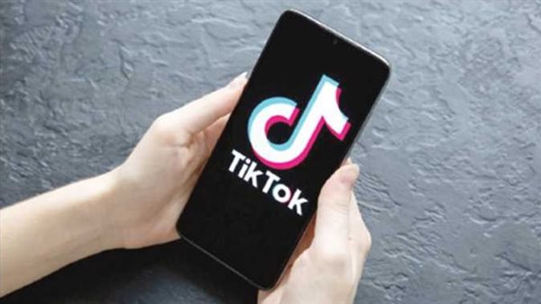 تفاصيل مثيرة..أول دعوى إسقاط حضانة أمام محكمة الأسرة بسبب التيك توك