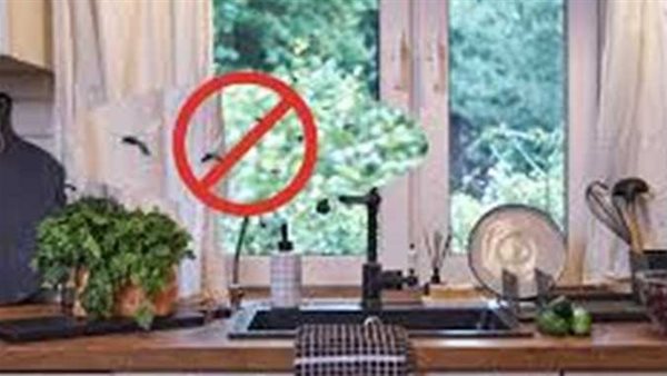 طرق طبيعية وفعالة للتخلص من الذباب داخل منزلك بدون مواد كيميائية