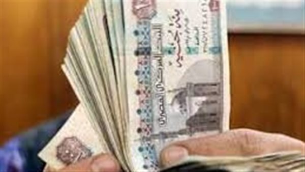 الخطوات والأوراق المطلوبة.. كل ما تريد معرفته عن معاش المطلقات