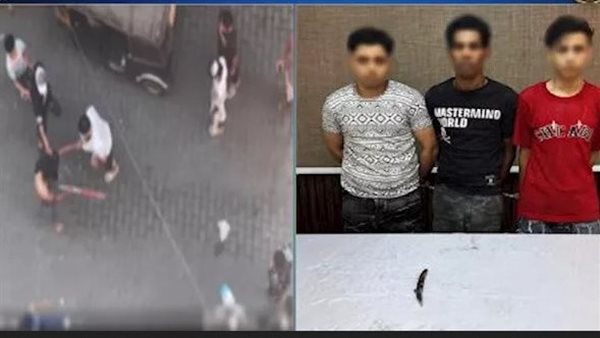 فيديو مشاجرة يثير الجدل.. ماذا حدث في المنيرة الغربية ؟ | شاهد