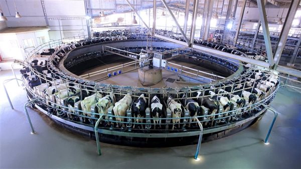 جهينه تطلق مرحلة جديدة من التوسع في مزرعة 