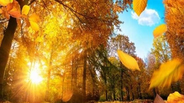 فلكيًا موعد بداية فصل الخريف 2025 وإنتهاء الصيف.. اعتدال خريفي وأحداث فلكية نادرة في سبتمبر